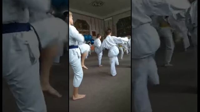 Открытый урок по каратэ сентябрь 2019 смотреть онлайн