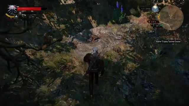 Ведьмак 3. Сокровища, которых нет на карте. Квест "Ниточка за иголочкой" смотреть онлайн