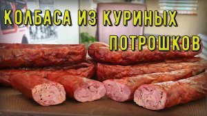 Колбаса из куриных потрошков
