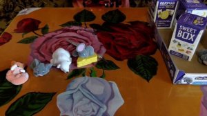 Распаковка SWEET BOX | Коллекция Сони-Засони
