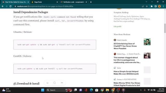How to Install GaGa Node on Linux - Hindi/Urdu смотреть онлайн