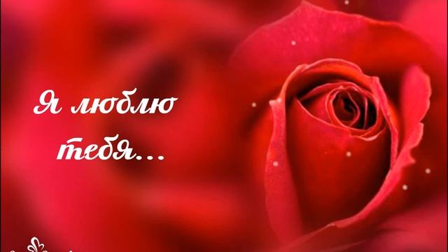 Красота этой розы меркнет перед твоей нежностью... смотреть онлайн