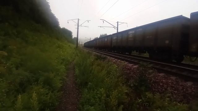 Электровоз 3ЭС5К-1168 "Ермак" с грузовым поездом выходит из кривой в летний дождливый день. смотреть онлайн