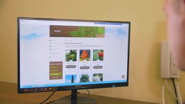 Росток питомник растений г. Челябинск смотреть онлайн