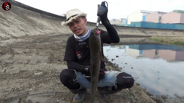 Jackpot BESAR..!! CASTING IKAN GABUS Sangat Besar / MANCING IKAN GABUS MONSTER смотреть онлайн