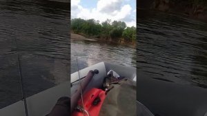 касатка 335 + mercury 9.9 4такта.  Томь