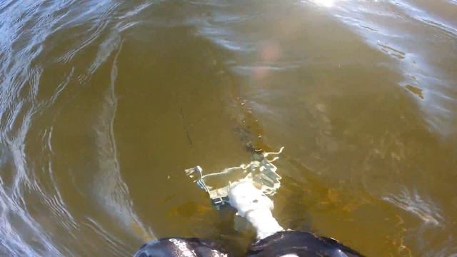 Тестируем Шредера с системой Хука на глубине | Подводный поиск смотреть онлайн