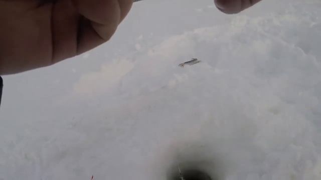 Зимняя рыбалка / Ловля корюшки / Winter fishing / smelt FishingHD 2019 смотреть онлайн