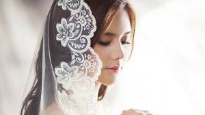 Примета птица бьется в окно | Народные приметы о птицах