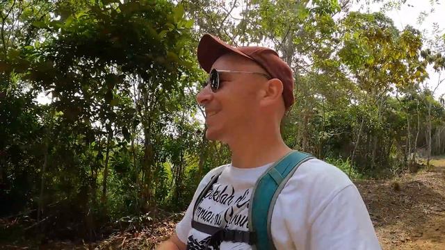 Why foreigners are moving to Brazil for a better life 🇧🇷 смотреть онлайн