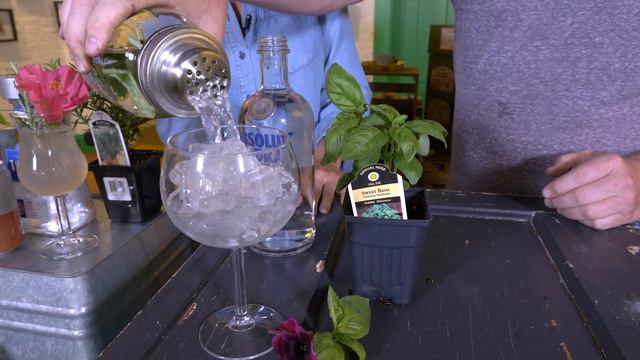 HERB COCKTAILS FIXED смотреть онлайн