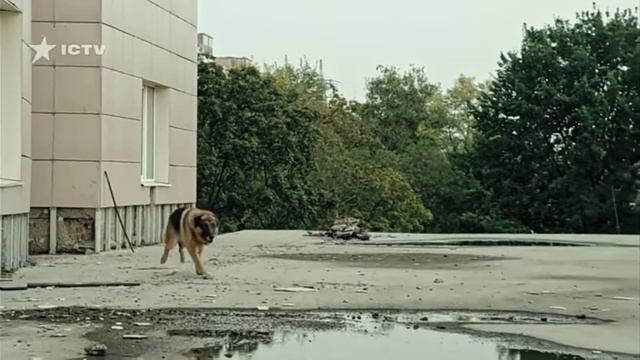 пьос спас макса смотреть онлайн