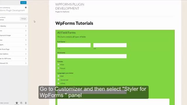 Easiest WordPress Plugin to Modify Checkbox Font Size in WpForms смотреть онлайн