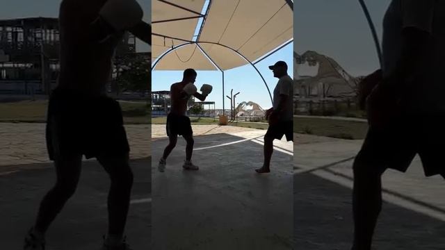 Работа на лапах