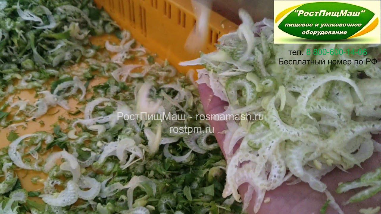 Шинковка сельдерея 0,8-1мм на QS-20II от РостПищМаш смотреть онлайн