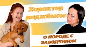 Родезийский риджбек - характер породы. Мнение заводчика