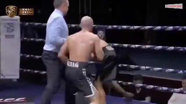 Отрывок боя Шамиль Мальсагов ??? смотреть онлайн