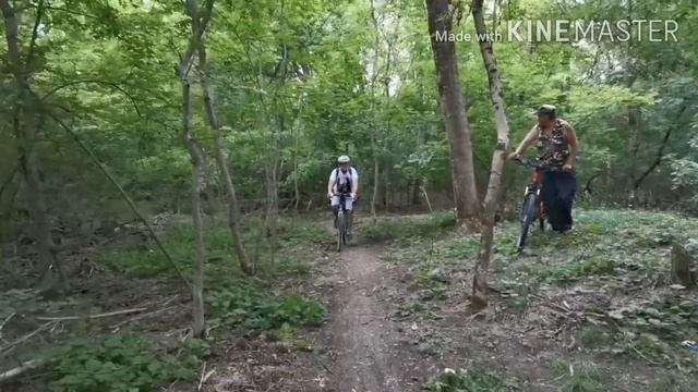 10 июня 2020 на Мишкиных вело трейлах. смотреть онлайн