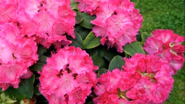 Самоисцеление. Практика, как помочь своему физическому телу исцелиться от телесных недугов.