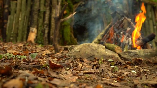 Build A Bushcraft Shelter Under The Tree - Cooking Lamb Arm Over An Open Fire