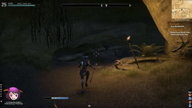 Elder Scrolls Online - L27 Mist and Shadow смотреть онлайн