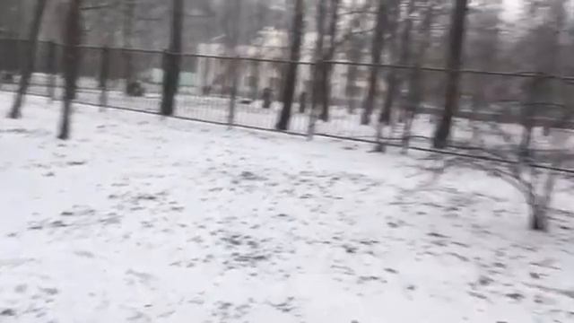 ЧИХУАХУА. УРА! ПЕРВЫЙ СНЕГ. ПОГУЛЯЕМ смотреть онлайн