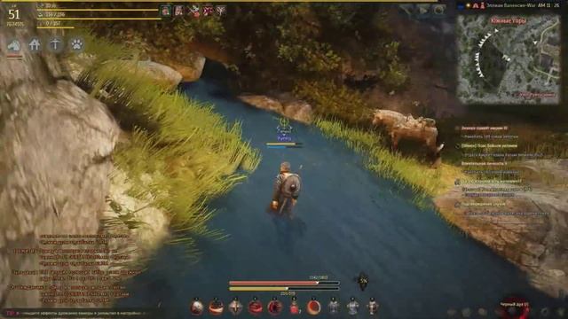 Black Desert. Трюфели. Гайд по сбору. / Truffle. A guide to collecting. смотреть онлайн