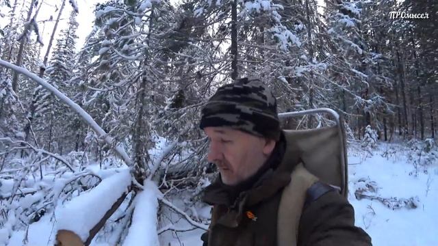 ТАМ ЕСТЬ ВСЁ!!! Соболя, белки и снег.