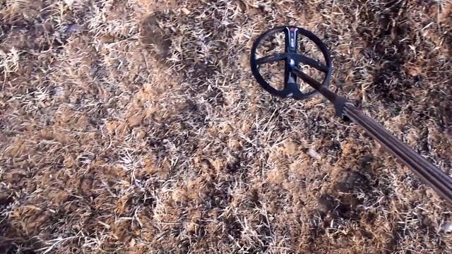 ЗОЛОТА ТУТ ОЧЕНЬ МНОГО! РАЗРЕШИЛИ ПОХОДИТЬ ВОЗЛЕ ПРИИСКА... смотреть онлайн