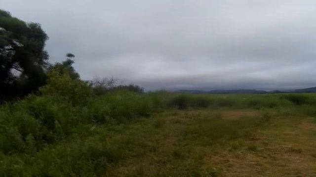 Рыбалка на змейголова в диком озере. Рыба откусила лягушку. смотреть онлайн