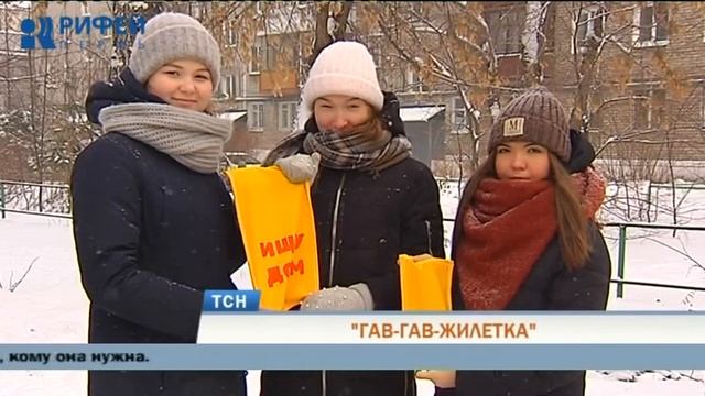 В Перми волонтеры шьют желтые жилетки для бездомных собак смотреть онлайн