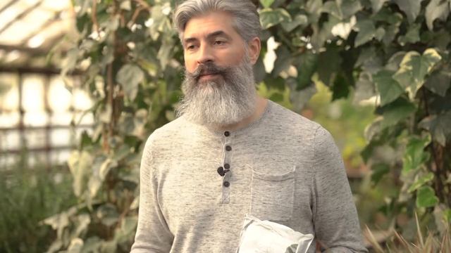 Грунт для всех видов фикусов и пальм. Почвогрунт Пуршат