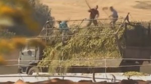 Игорь Растеряев Комбайнеры  #комбайнеры #песня