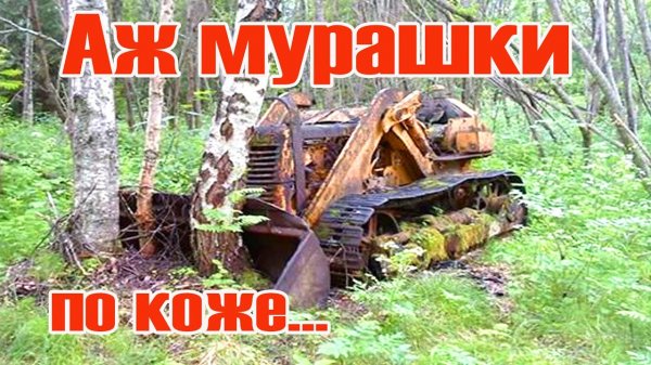 Не ожидал этого! Коп металла. Поиск металла и монет металлоискателем