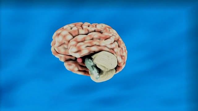 Meditation Music Relax Mind Body | Brain Power Increase Music | Brain Healing Music