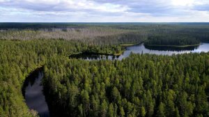 Река Уксунйоки в Республике Карелии