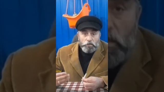 П.Т.: «Обращение воронежских цыган к коле барэнгоро» смотреть онлайн