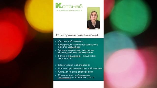 Как распознать боль у питомца? Разница между хронической и острой болью смотреть онлайн