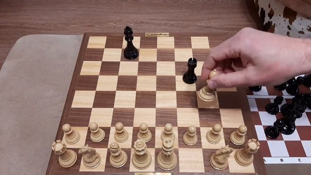 Шахматы. Лучший урок для начинающих шахматистов. Как научиться играть в шахматы. смотреть онлайн