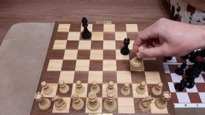 Шахматы. Лучший урок для начинающих шахматистов. Как научиться играть в шахматы.