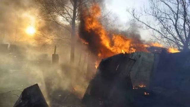 Шалакуша смотреть онлайн