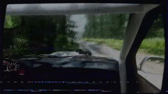 2004-03-03 (Greenfield Rally Course, America) Time Attack 2 (FATAL)