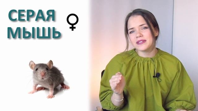 PEOPLE ARE CALLED LIKE ANIMALS IN RUSSIAN? I Learning Russian Language l Vocabulary смотреть онлайн