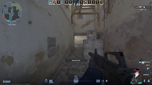 COUNTER-STRIKE: GLOBAL OFFENSIVE 2 LIVE GAMING смотреть онлайн