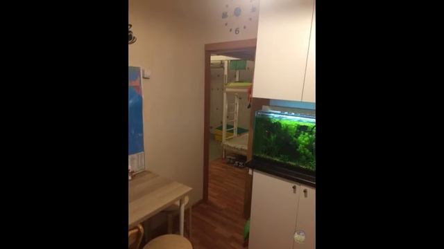 Продам 2-х комн. квартиру в г. Королев ул. Садовая 5 смотреть онлайн