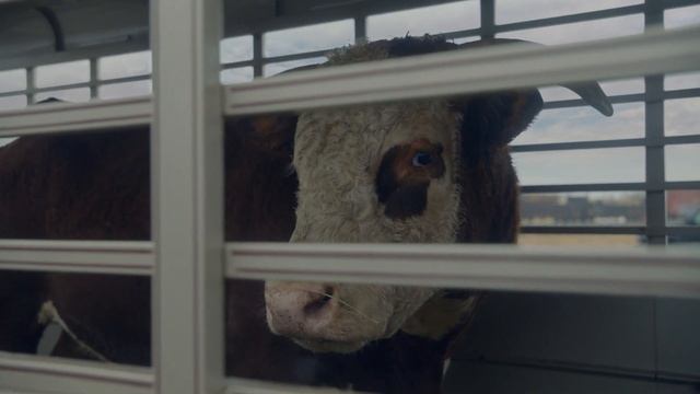 CHEVROLET SILVERADO HD - SUPER BOWL COMMERCIAL | AutoMotoTV смотреть онлайн