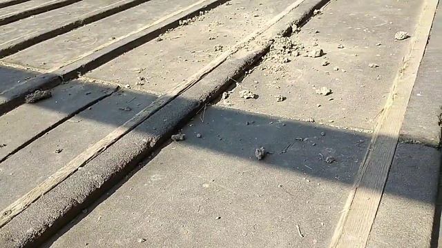 Курта надорум ки пушум ? ? смотреть онлайн