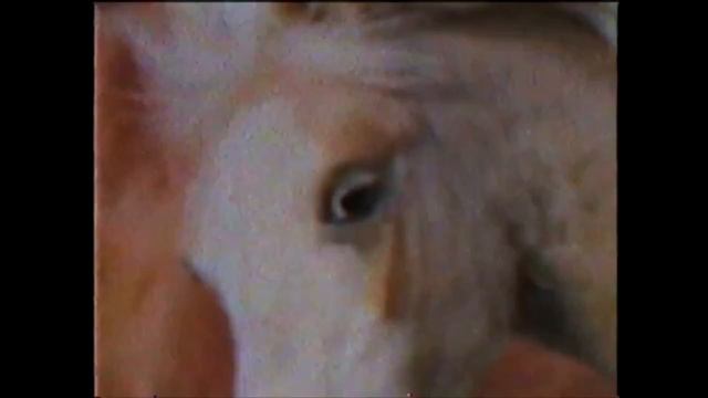 Заставка программы "Загадка дыры" смотреть онлайн