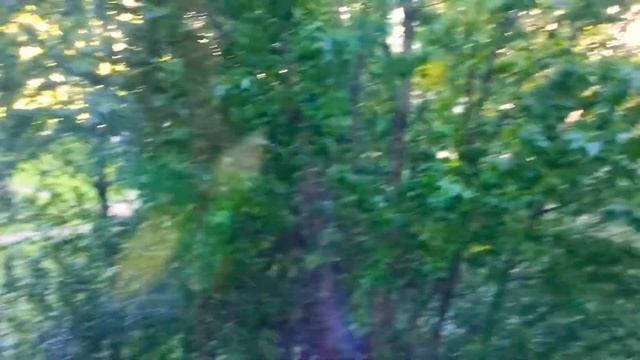 Солнышко встаёт вот такая утренняя погода у нас сегодня Красота всех с 1 июня