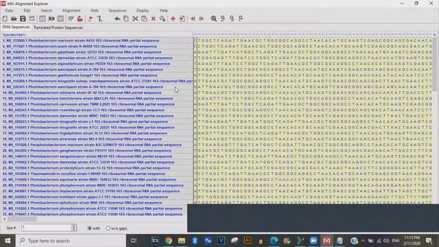 BSM4301-G1_Practical6.4 _TutorialVideo_Maz.Husna(191795)_LeaderG6 смотреть онлайн